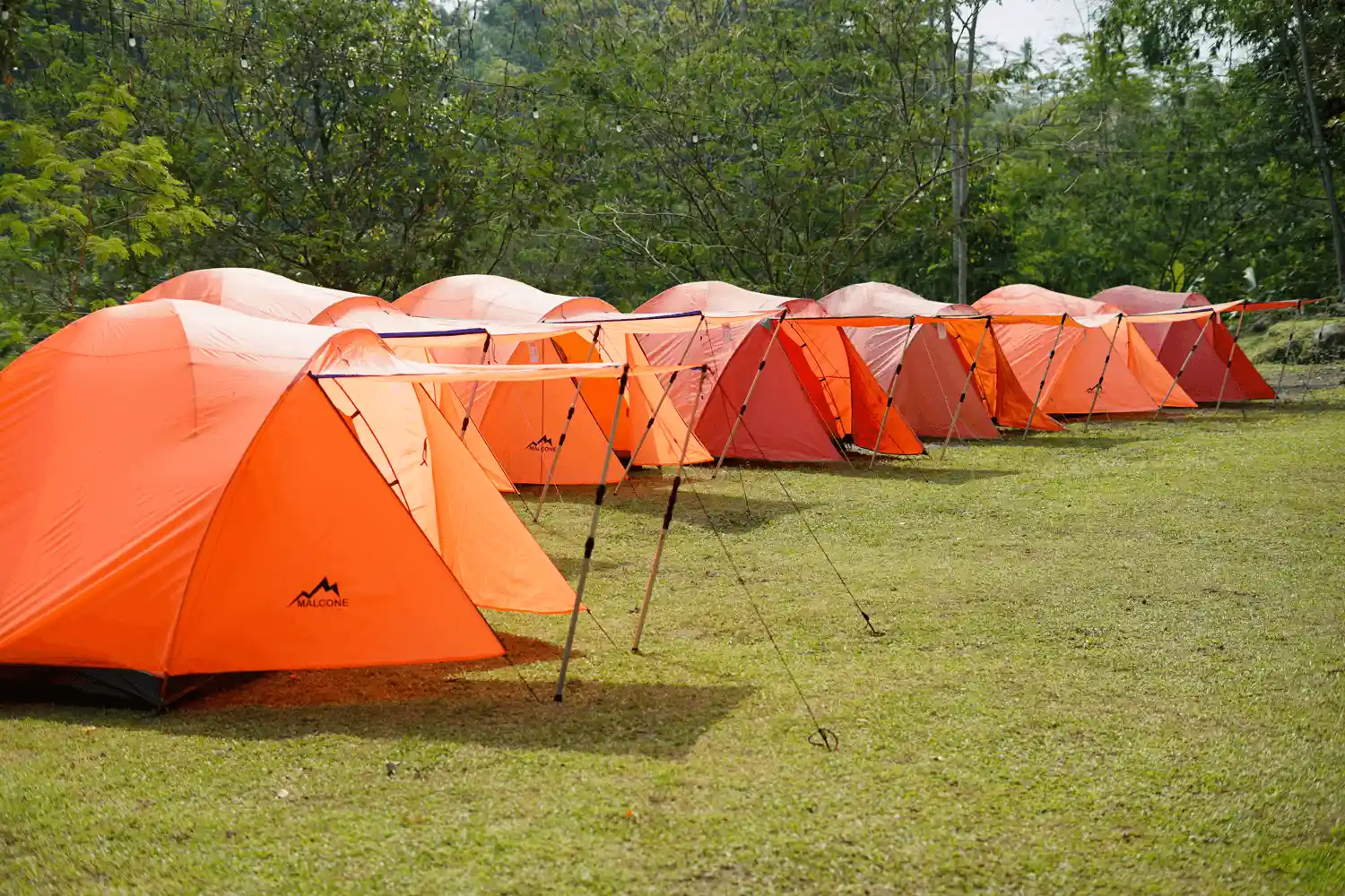 Camping Tenda Basic