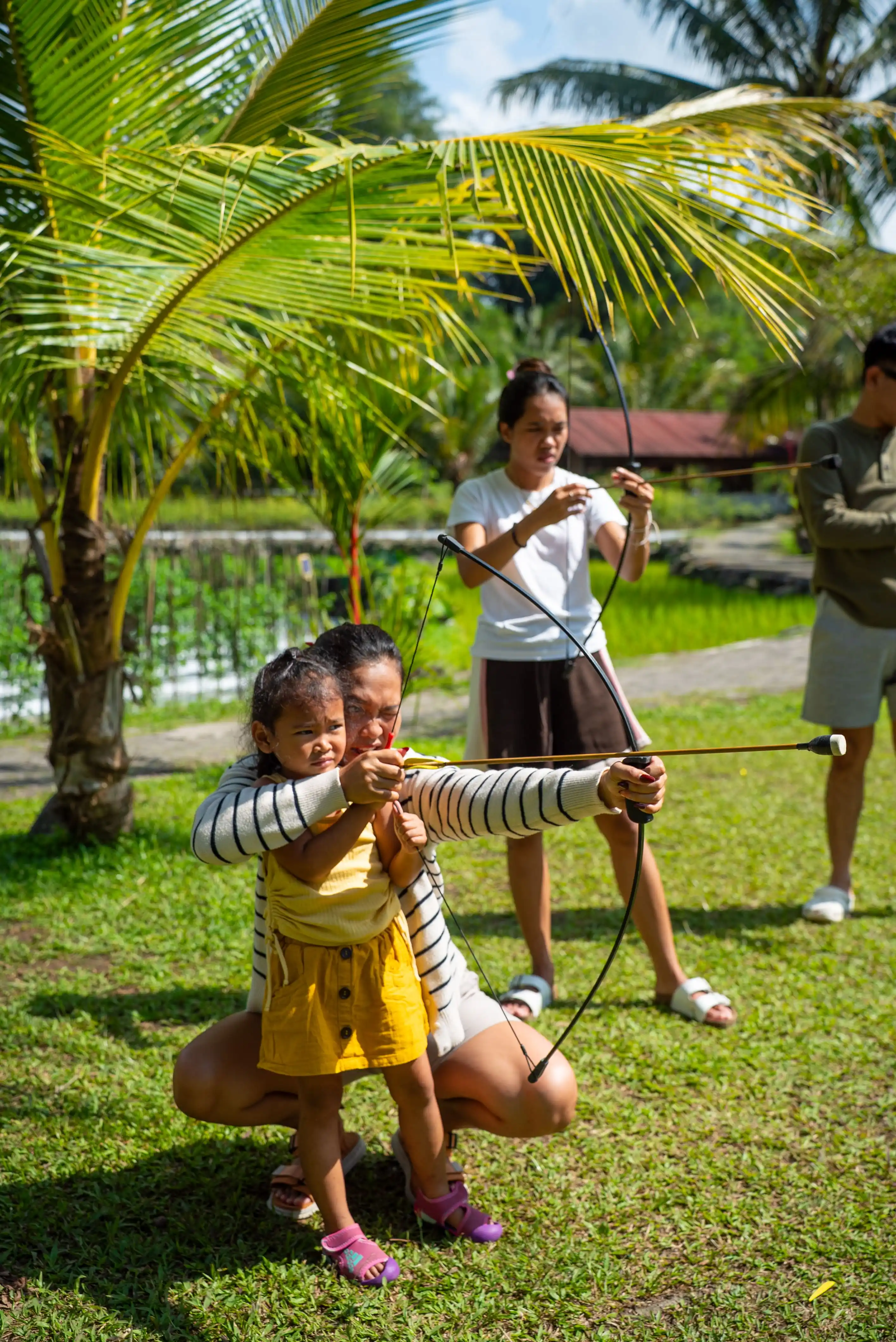 Archery image 2