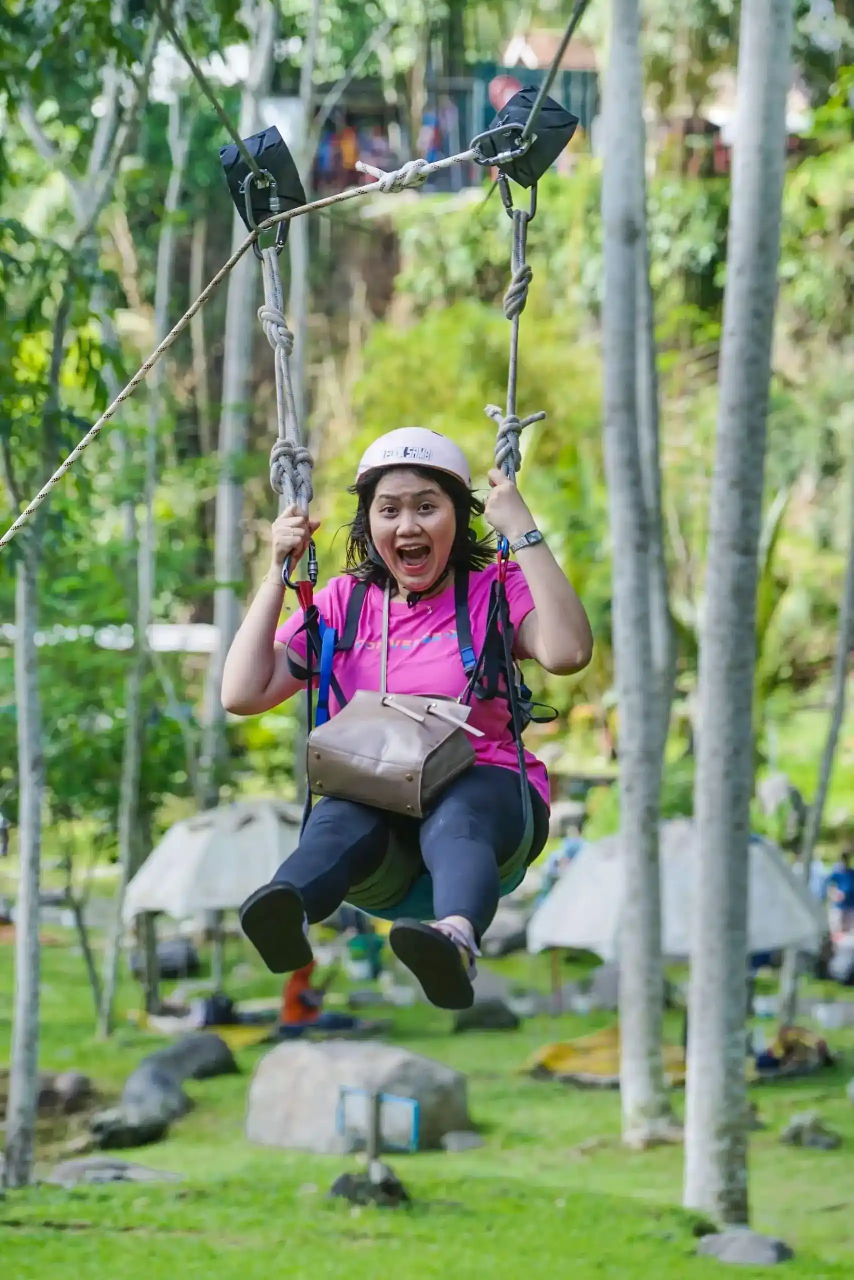 Flying Fox