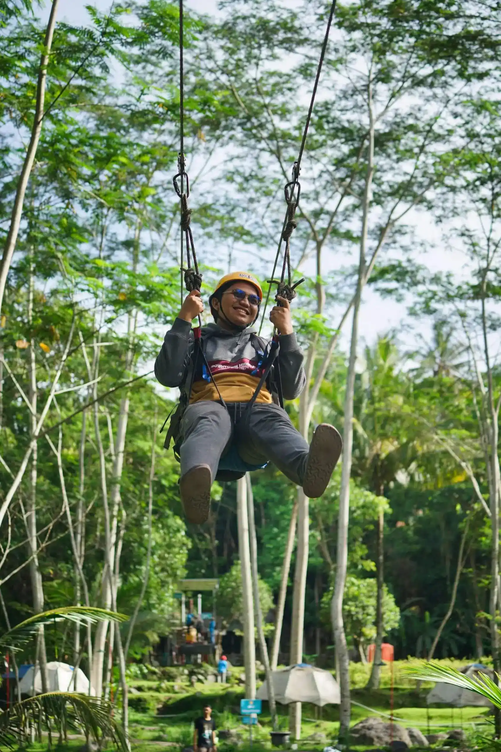 Flying Fox image 3